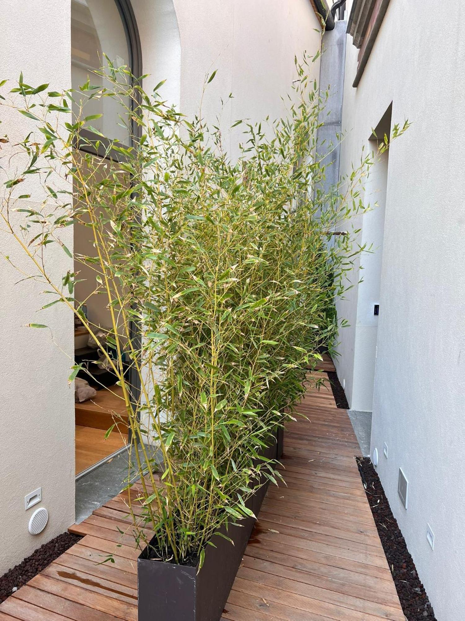 Spasimo Hotellerie Palermo Esterno foto